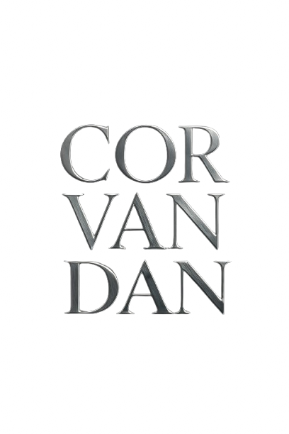 AMV VISION