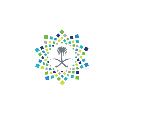 AMV VISION